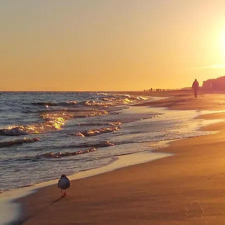 Amazing In * Grzybowo (West Pomeranian)