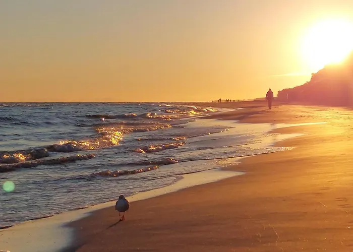 Amazing In * Grzybowo (West Pomeranian)