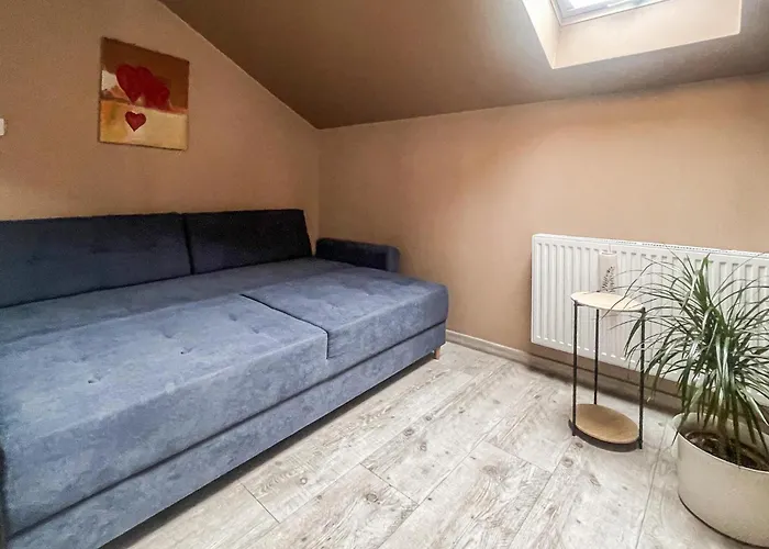 Amazing In * Grzybowo (West Pomeranian)