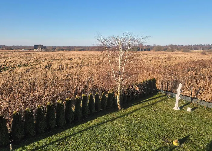 Amazing In Appartamento