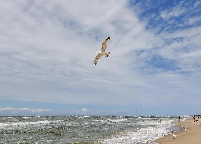 Amazing In Grzybowo (West Pomeranian)